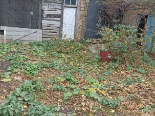 IMG-20241009-WA0037